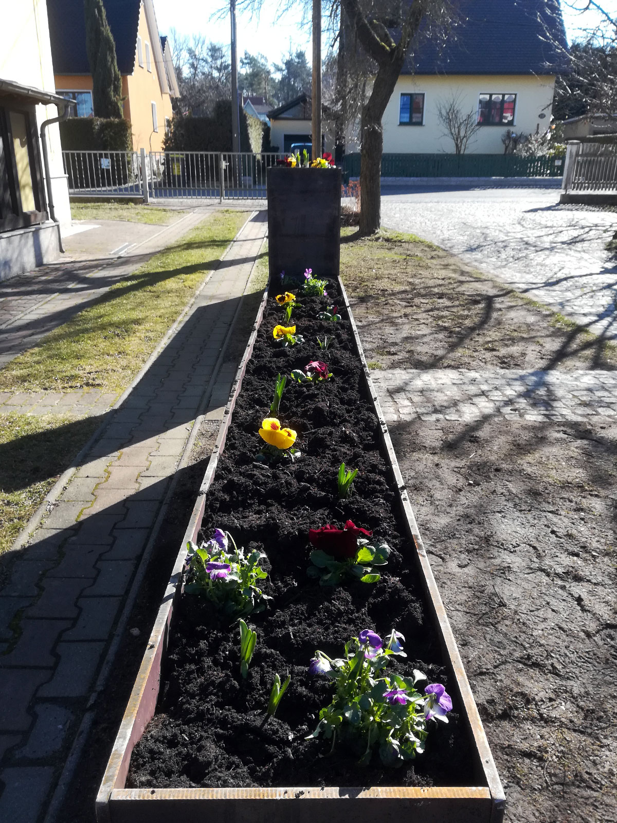 Hochbeet mit Pflanzen